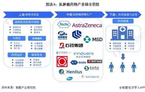 預見2024 2024年中國抗腫瘤藥物行業全景圖譜 附市場規模 競爭格局和發展前景等