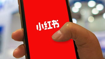 小紅書被安卓應(yīng)用市場下架,uber 史上最大裁員